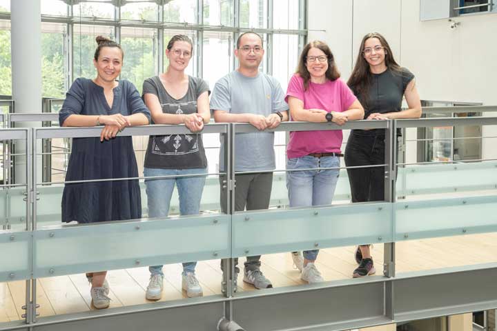 Dr. Buket Basmanav, Nicole Cesarato, Xing Xiong, Prof. Regina Betz und Yasmina Gossmann finden im Keratin 31-Gen ursächliche Mutationen für die dominant-vererbte Form der Monilethrix.